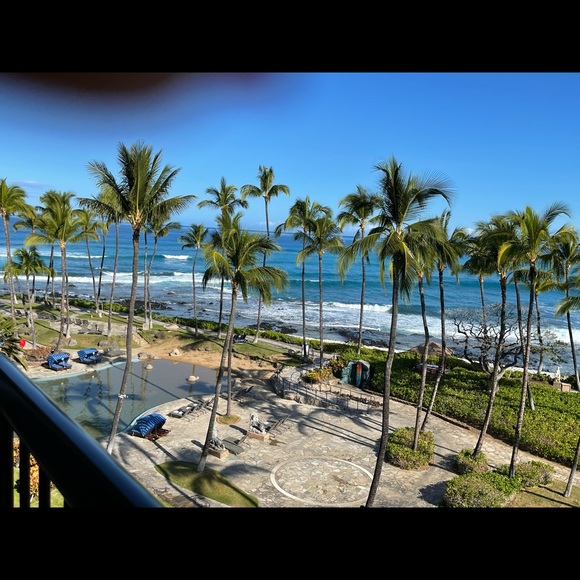 Meet your Posher, Lani - Picture 1 of 1